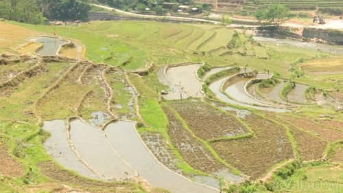 Nhiều hộ dân lấy nước từ đầu nguồn phục vụ cho sản xuất nông nghiệp, dẫn đến không đủ nước để cung cấp cho công trình nước sinh hoạt.