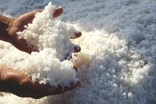 Muối luôn được diêm dân nâng niu trong suốt quá trình sản xuất