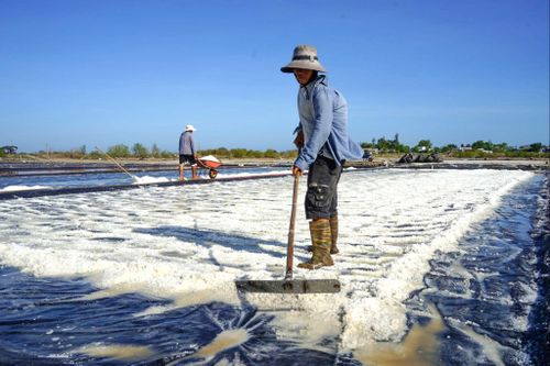 Diêm dân xã Tân Thành được mùa muối