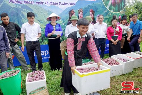 Ban Giám khảo chấm điểm các đội thi.