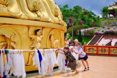 Du khách tham gia các hoạt động trải nghiệm ở Samten Hills Dalat.