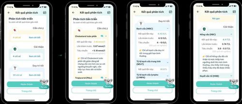 Giao diện báo cáo sức khỏe định kỳ của Kolia.