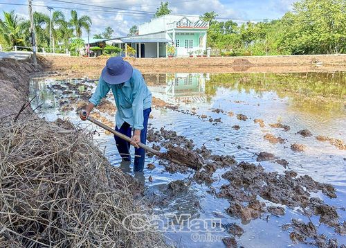 Nông dân Nguyễn Văn Nguyên, ấp Trà Hất, đang vệ sinh đồng ruộng.