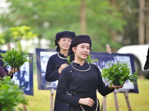 Những cô gái duyên dáng trong màu áo chàm thân thương.