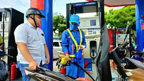 Hầu hết các mẫu xe máy hiện tại đều có thể sử dụng xăng sinh học E10