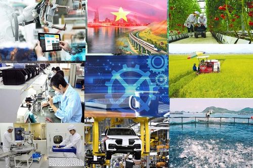 Muốn trở thành một quốc gia hùng cường trong thời đại mới, Việt Nam phải nuôi dưỡng được một nền đại học lớn, một nền khoa học mạnh và một nền văn hóa trọng dụng tri thức, trọng dụng nhân tài và khuyến khích sáng tạo.