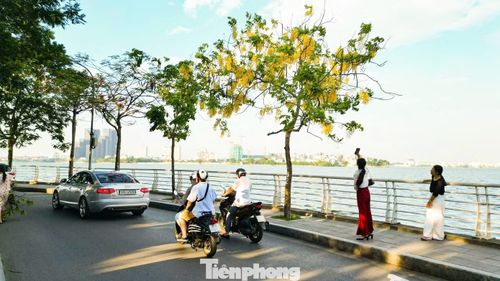 Sắc hoa óng ả làm bừng sáng phố phường, níu chân nhiều người dừng lại ngắm nhìn, lưu giữ những khoảnh khắc đẹp.