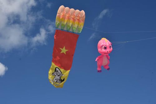 Đặc biệt, cánh diều mang hình cờ Tổ quốc tung bay đã để lại nhiều ấn tượng với người xem.