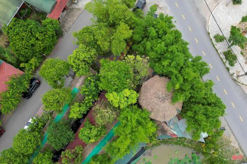 Trong đời sống văn hóa và kinh tế, cây tre từ lâu đã gắn bó mật thiết với sinh hoạt của người Việt. Vì vậy, việc gìn giữ hình ảnh cây tre trong lòng đô thị không chỉ tạo nên nét riêng cho cảnh quan mà còn thể hiện niềm tự hào trong việc bảo tồn bản sắc dân tộc. Theo Kiến trúc sư Võ Lực - Giám đốc Công ty CP kiến trúc O2: “Trong nhịp sống đô thị hiện đại, việc đưa cây tre vào không gian kiến trúc và cảnh quan không chỉ mang ý nghĩa tạo mảng xanh, điều hòa môi trường mà còn giúp con người tìm lại sự gần gũi với thiên nhiên và những giá trị truyền thống”. (Ảnh: Hà Phương)