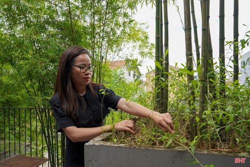 Xu hướng đưa cây xanh, đặc biệt là cây tre, trúc vào thiết kế quán cà phê đang ngày càng được ưa chuộng.