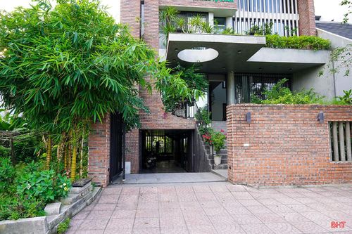 Nhiều ngôi nhà hiện đại còn khéo léo bố trí một bụi tre nhỏ dưới góc giếng trời hay cổng nhà để tạo điểm nhấn xanh mát và gần gũi.