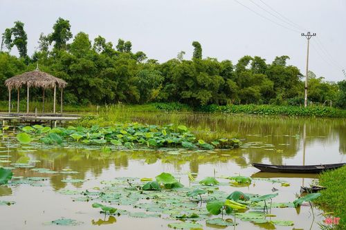 Không chỉ trong không gian khu vực đô thị, thời gian qua, các địa phương cũng đã triển khai trồng bổ sung thêm nhiều loại tre dọc các tuyến sông và khu vực ven đô như sông Đông, Đồng Ghè hay thôn Trang Liên Nhật... Không chỉ góp phần tạo cảnh quan xanh, tre còn có tác dụng giữ đất, hạn chế xói mòn bờ kè và bảo vệ môi trường sinh thái.