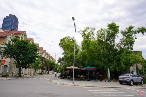Giữa những khu phố nhộn nhịp, khối nhà cao tầng hay các công trình hiện đại, nhiều người vẫn giữ hình ảnh lũy tre xanh gợi nhớ làng quê Việt Nam, đem lại cảm giác thân quen và bình yên.