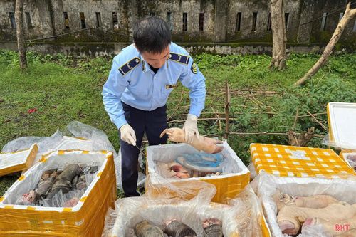 Từ đầu năm 2026 đến nay, lực lượng quản lý thị trường đã tịch thu, tiêu hủy gần 5 tấn thực phẩm các loại.