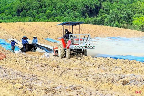 Trong tháng 5/2026, các địa phương tập trung hoàn thiện thủ tục để ký kết hợp đồng liên kết sản xuất với Công ty Cổ phần Thực phẩm xuất khẩu Đồng Giao; trước mắt triển khai trồng mới 62 ha tại 6 xã: Kỳ Hoa, Cẩm Hưng, Kỳ Anh, Kỳ Xuân, Hồng Lộc và Trường Lưu. (Trong ảnh: Tổ hợp tác sản xuất dứa Ngân Hà, xã Kỳ Hoa làm đất xuống giống dứa).