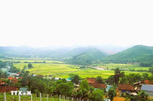 Thung lũng Bình Chuẩn có hơn 180ha diện tích trồng lúa nước. Trong đó có hơn 80ha ruộng lúa cao từ 1 đến 3 mét so với mực nước suối, phải nhờ đến hệ thống cọn nước cung cấp nước tưới để tạo nên những mùa vàng. (Ảnh: Xuân Tiến/TTXVN)