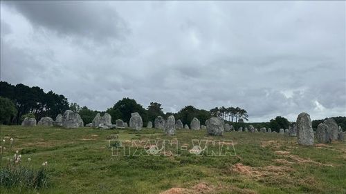 Quang cảnh Rặng đá đứng Carnac. Ảnh: Đào Dũng/TTXVN