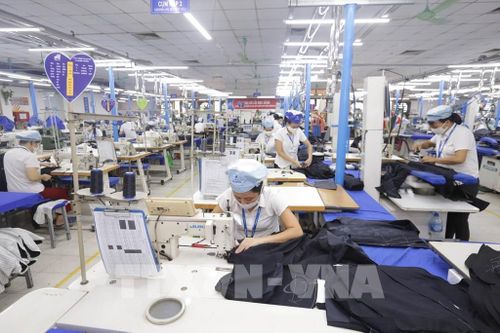 Sản xuất hàng may mặc tại Xí nghiệp Sơ mi, Veston của Tổng Công ty May 10 tại Sài Đồng, Quận Long Biên, Hà Nội – một đơn vị của Tập đoàn Dệt may Việt Nam (Vinatex). Ảnh: Anh Tuấn – TTXVN