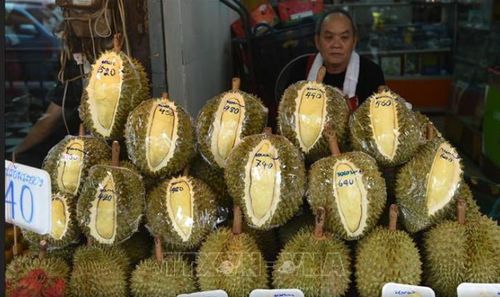 Sầu riêng Thái Lan bày bán tại BangKok. Ảnh: AFP/TTXVN