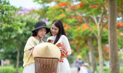 Chị Hoàng Thảo đến từ Bắc Ninh biết tới địa điểm này sau khi xem video trên mạng xã hội. “Đường không dài nhưng lên hình rất đẹp vì hoa nở đều, màu nổi bật. Đứng ở đâu cũng có thể chụp được ảnh”, chị nói.