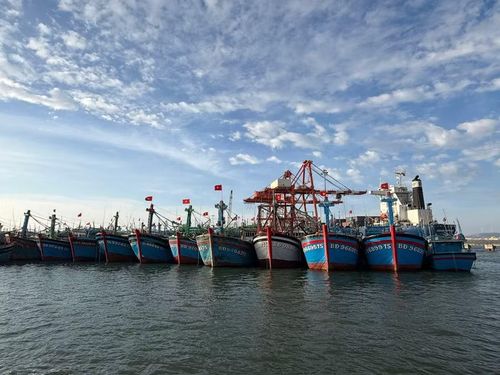  Ngày Logistics Việt Nam và Tuần lễ Logistics Việt Nam hướng tới tăng cường hợp tác quốc tế, đẩy mạnh các hoạt động xúc tiến thương mại, thu hút đầu tư vào hạ tầng và công nghệ logistics. Ảnh: Phương Vi 