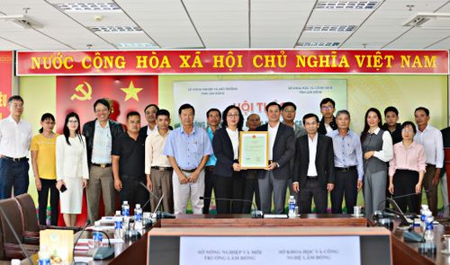 Lâm Đồng chính thức được Cục sở hữu Trí tuệ - Bộ Khoa học và Công nghệ cấp Giấy chứng nhận đăng ký nhãn hiệu “Mắc ca Lâm Đồng” vào tháng 4/2026
