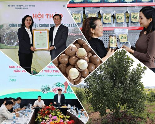 Với cú hích nhãn hiệu “Mắc ca Lâm Đồng”, địa phương được kỳ vọng sẽ tăng cường liên kết chuỗi giá trị xuất khẩu, hướng tới thị trường bền vững