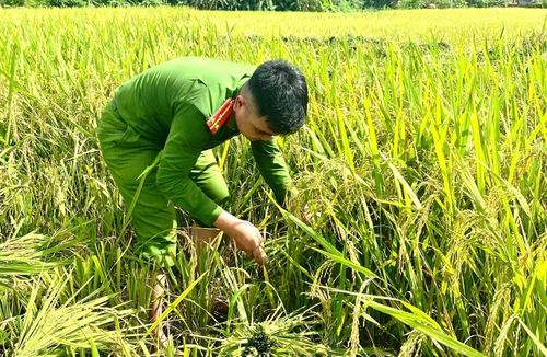 Hình ảnh đẹp về người Chiến sĩ Công an gần dân.