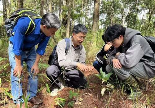 Người đi hái nấm dại phải trang bị cho mình kiến thức vững chắc về các loại nấm để không hái và sử dụng trúng nấm độc.