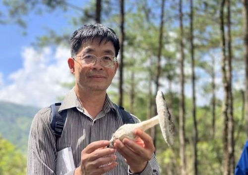 Tiến sĩ nấm học Trương Bình Nguyên cảnh báo mọi người hết sức cẩn trọng khi hái và sử dụng nấm làm thực phẩm.