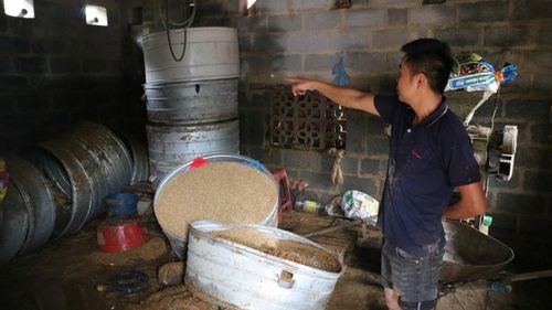 Toàn bộ thóc, ngô của bà con bị ngập nước, có nguy cơ hư hỏng hoàn toàn.