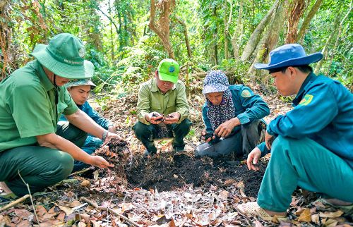 Vườn Quốc gia U Minh Hạ là khu vực trọng điểm có lớp than bùn đặc hữu quý giá, tạo nên hệ sinh thái đặc trưng và tiềm năng sinh thái lớn của vùng đất Cà Mau.