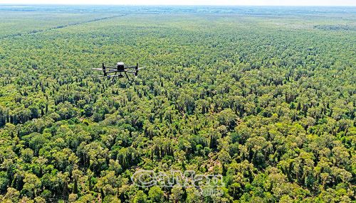 Bên cạnh lực lượng trực canh tại các chốt bảo vệ rừng, hệ thống camera giám sát và thiết bị bay tầm nhiệt góp phần nâng cao hiệu quả công tác quản lý, bảo vệ và phòng chống cháy rừng tại Vườn Quốc gia U Minh Hạ.