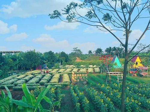 Một góc khu sinh thái r với hàng chục loài hoa nở quanh năm, thu hút đông đảo du khách đến tham quan (Ảnh Sỹ Tùng- Lê Hải)
