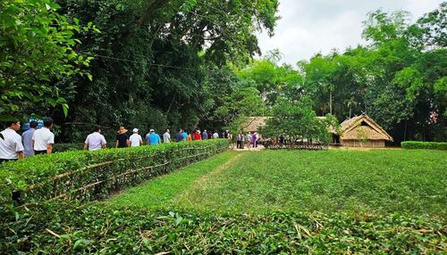 Đông đảo người dân và du khách về thăm quê Bác Hồ