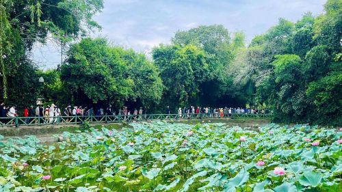 Dòng người nối nhau về thăm quê Bác