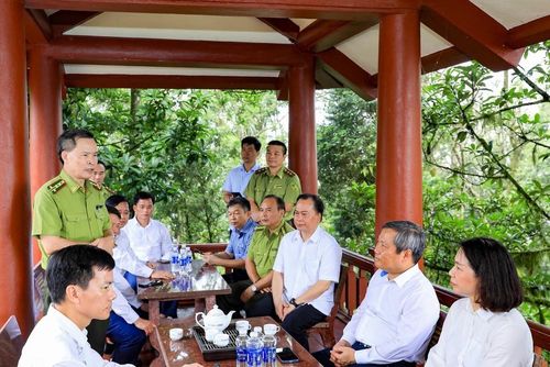 Chủ tịch UBND thành phố Hà Nội Vũ Đại Thắng kiểm tra thực địa công tác quản lý, bảo tồn rừng tại Vườn quốc gia Ba Vì trước thời điểm chuyển giao về Thành phố quản lý. Ảnh: Trung Nguyên - TTXVN