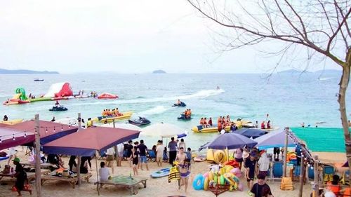 Du khách trong nước và quốc tế ra đặc khu Cô Tô ngày càng tăng.