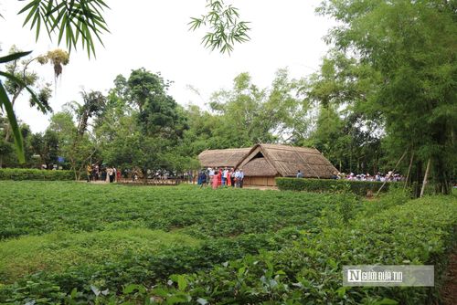 Những ngày này, rất đông người từ mọi miền Tổ quốc đã về Khu di tích đặc biệt Kim Liên, xã Kim Liên, tỉnh Nghệ An - nơi 136 năm trước, Chủ tịch Hồ Chí Minh cất tiếng khóc chào đời và trải qua những ngày thơ ấu.