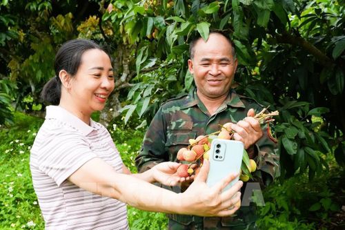 Cán bộ Trung tâm Cung ứng dịch vụ sự nghiệp công xã Phúc Hòa, Bắc Ninh hướng dẫn người dân kĩ năng bán vải trên các nền tảng số. Ảnh: Đồng Thúy – TTXVN