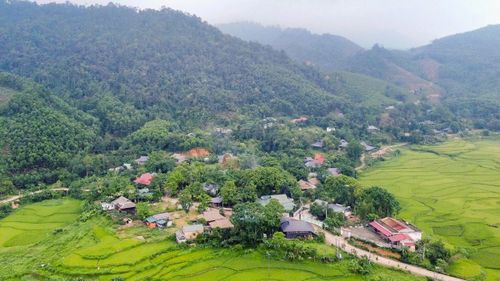 Men theo những con dốc uốn lượn giữa đại ngàn, từng thửa ruộng bậc thang hiện ra nối tiếp nhau trên sườn núi. Thời điểm này, lúa bắt đầu chuyển sắc vàng óng xen lẫn màu xanh của núi rừng, tạo nên khung cảnh vùng cao yên bình, thơ mộng.