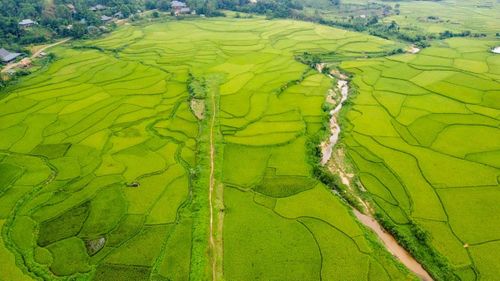 Từ thác Ma Hao, du khách có thể tiếp tục men theo tuyến đường bê tông xuyên rừng để đến các xã Yên Khương, Yên Thắng, dọc đường đi là những thửa ruộng bậc thang đang bước vào mùa lúa chín, tạo nên bức tranh miền sơn cước vàng óng đầy sức hút giữa mùa hè xứ Thanh.