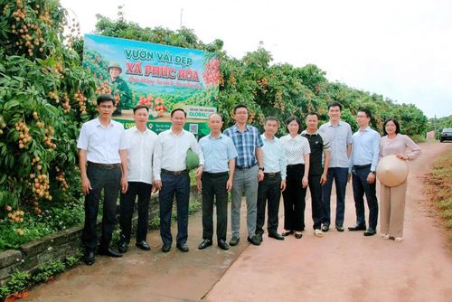  Các đại biểu chụp ảnh lưu niệm tại vườn vải đẹp. 
