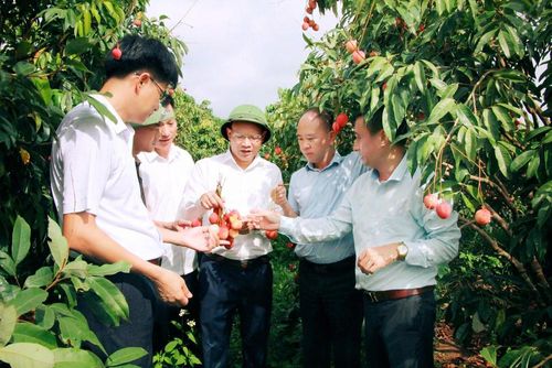  Các đại biểu trò chuyện cùng nhà vườn tại xã Phúc Hòa. 