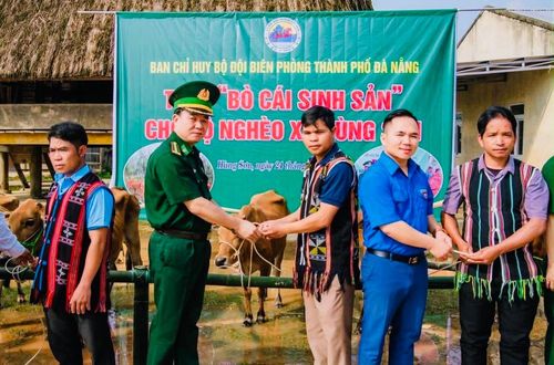 Ban Chỉ huy Bộ đội Biên phòng thành phố Đà Nẵng trao bò cái sinh sản cho các hộ nghèo xã Hùng Sơn. Ảnh: V. D