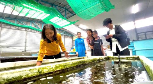 Em Vũ Hoàng Mắt Thương được mẹ đưa đi tham quan tại Bảo tàng Hải dương học.