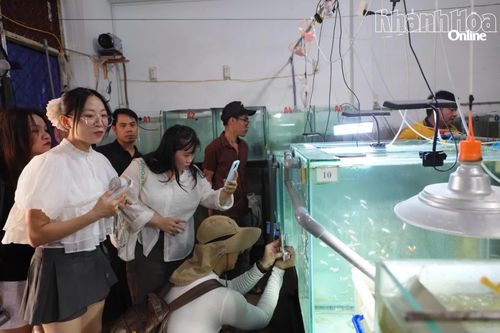 Nhiều du khách hào hứng khi tham gia chương trình "Bảo tàng Open Day".
