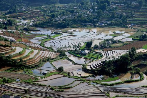 ... những thửa ruộng bậc thang ở Tả Lèng thật đẹp.