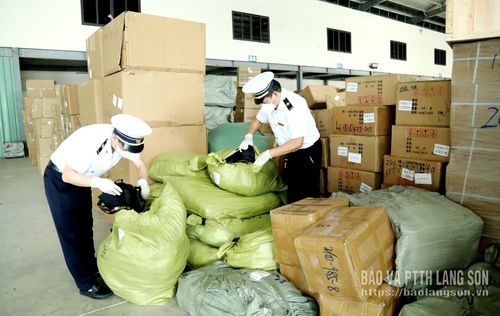 Cán bộ Tổ kiểm dịch y tế quốc tế cửa khẩu Tân Thanh kiểm tra các thùng hàng nhập khẩu để kịp thời phát hiện loại động vật gặm nhấm lưu trú tại các thùng hàng