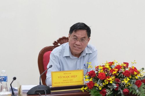 Phó Chủ tịch UBND tỉnh Võ Ngọc Hiệp chỉ đạo tại buổi làm việc